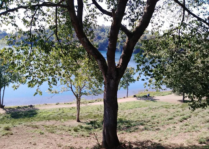 Sonnenblume By Interhome 道恩